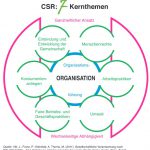 Unternehmen können sich nach CSR und Nachhaltigkeit durch die Unternehmensberatung Stoll zertifizieren lassen